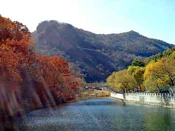 新澳天天开奖资料大全旅游团，pos机套现的问题